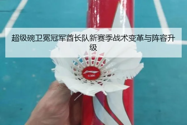 超级碗卫冕冠军酋长队新赛季战术变革与阵容升级